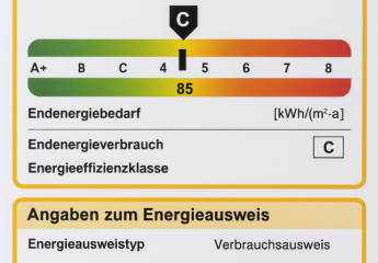 443845-Vorschaubild3
