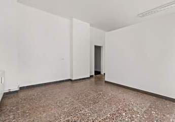 444333-Vorschaubild2