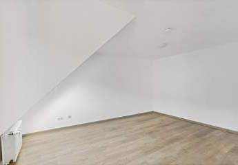 447466-Vorschaubild3