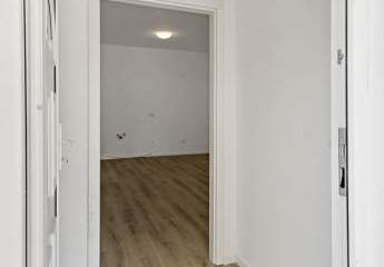 449233-Vorschaubild2