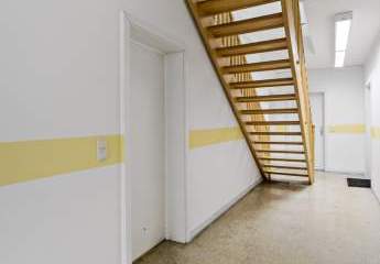 449237-Vorschaubild3