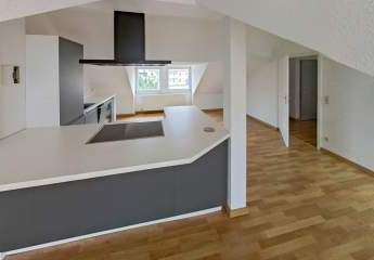 449444-Vorschaubild3