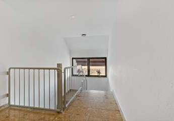 462297-Vorschaubild3