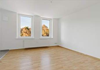 462528-Vorschaubild3