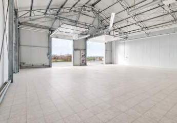 478516-Vorschaubild2