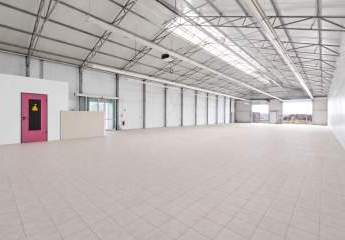 478516-Vorschaubild3