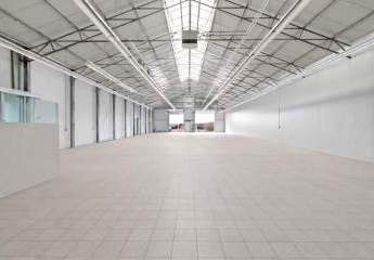 478516-Vorschaubild4