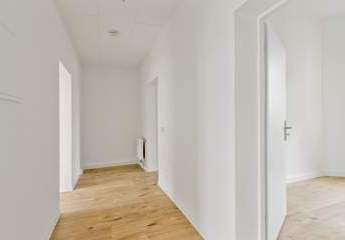 481592-Vorschaubild2