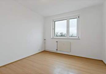 482118-Vorschaubild3