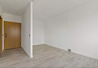 484720-Vorschaubild2