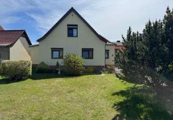 486398-Vorschaubild3