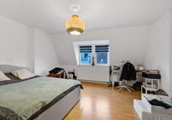 492934-Vorschaubild3