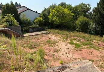 467042-Vorschaubild3