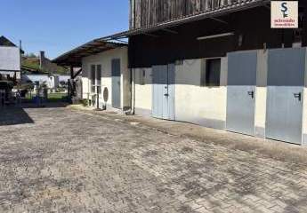 486101-Vorschaubild2