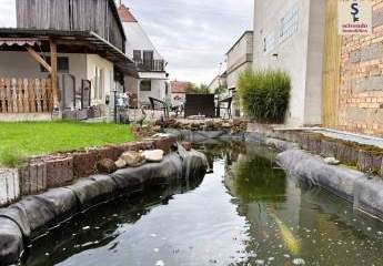 486101-Vorschaubild3