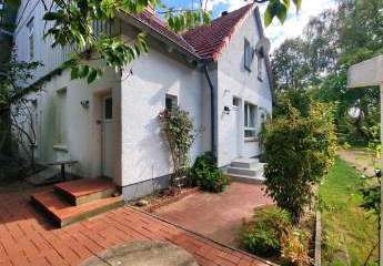 452800-Vorschaubild4