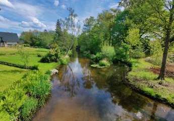 452934-Vorschaubild2