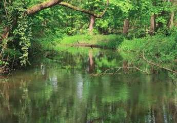 452934-Vorschaubild3