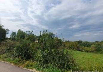 447305-Vorschaubild3