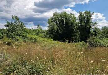 447307-Vorschaubild2