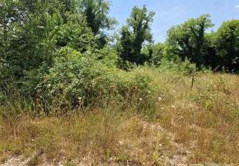 447307-Vorschaubild4