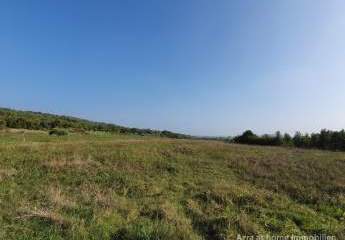 447264-Vorschaubild2