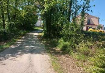 447290-Vorschaubild4