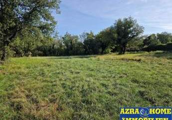 447317-Vorschaubild3