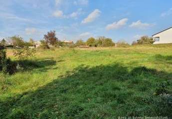 447244-Vorschaubild2