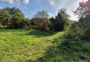 447244-Vorschaubild4