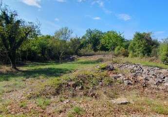 447256-Vorschaubild2