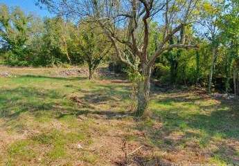 447256-Vorschaubild4