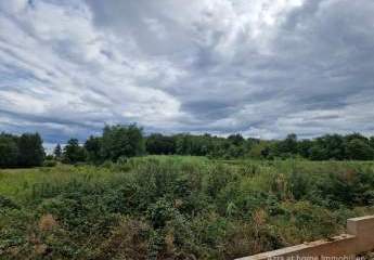 447309-Vorschaubild3