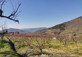 447247-Vorschaubild4