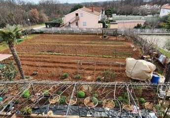 447248-Vorschaubild2