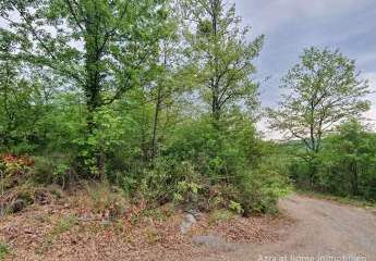 447249-Vorschaubild4