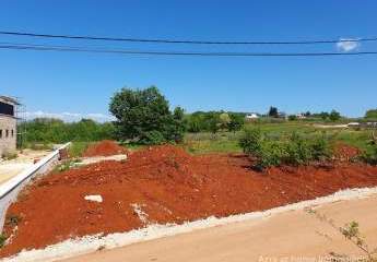 447255-Vorschaubild3