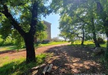 VIZINADA, Anwesen mit einem Haus von 180 m² und einem Grundstück von 35.380 m², mit Blick auf Motovun