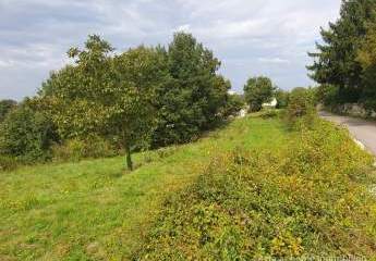 447305-Vorschaubild2