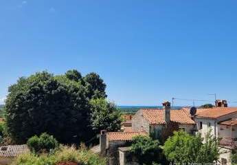 447289-Vorschaubild2