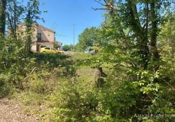 447290-Vorschaubild3