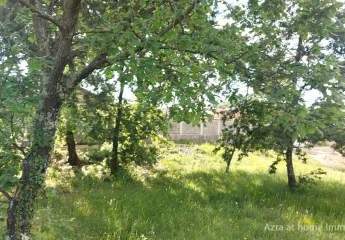 447296-Vorschaubild4