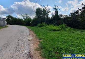 447316-Vorschaubild3