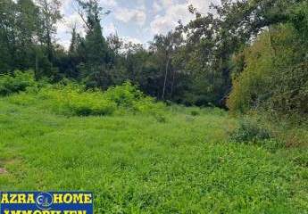 447316-Vorschaubild4