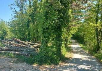 PAZIN – STANCIJA PATAJ, Baugrundstück 1488 m², Z-654