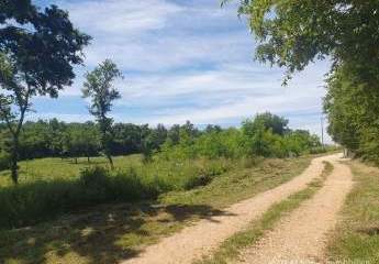 458390-Vorschaubild4