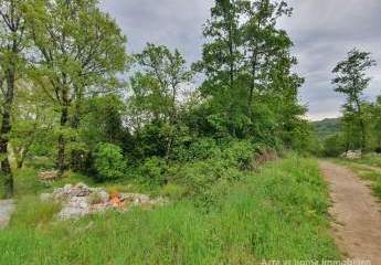 447249-Vorschaubild3