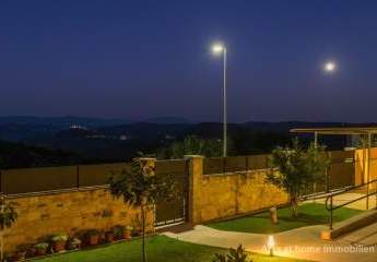 447254-Vorschaubild4