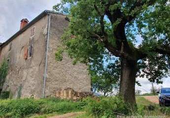 447259-Vorschaubild2