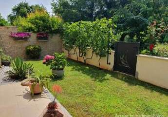 447260-Vorschaubild3